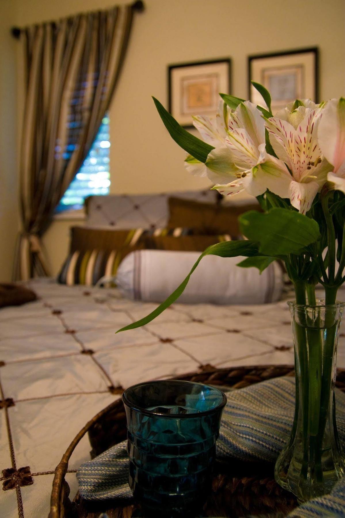 Abigaile'S Treehouse Hotel Bryan Room photo